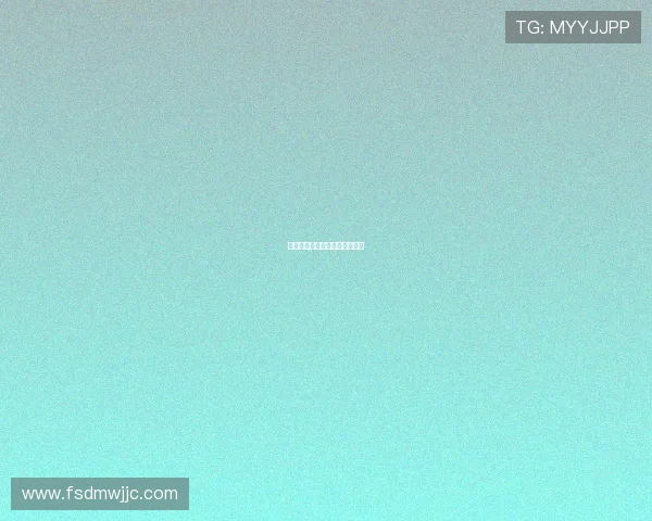 汉密尔顿言追赶梅奔尾翼待优化